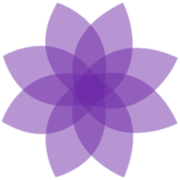 Amethyst Education