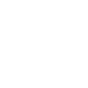 Api Restauration logo