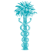 CareSouth Carolina