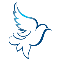 Dove Healthcare