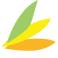 Element Care