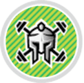 Iron fit logo