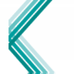 Klinikum Stuttgart logo