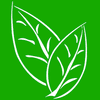 LIFE Senior Services