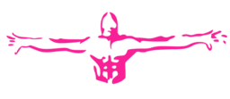 MATCH s.r.l. logo