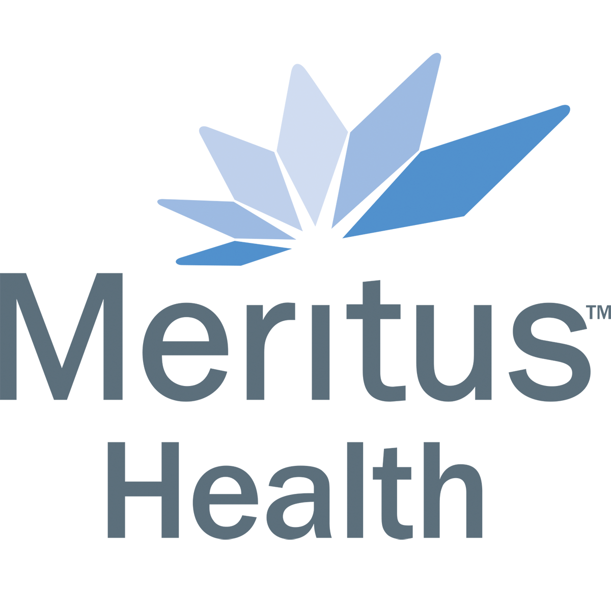 Meritus Health logo