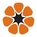 NT Health