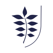 Rudersdal Kommune