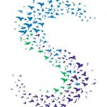 Somerset NHS Foundation Trust logo