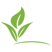 Southbridge Care Homes logo